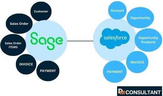 Sage-intacct-salesforce-integration